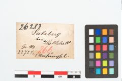 Etikett zu Bronzeklapperblechanhänger (NHMW-PRAE-026283)
